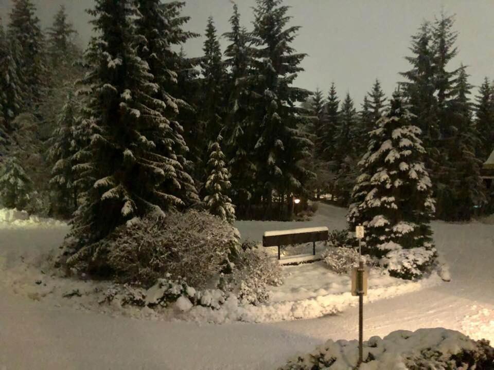 Powderhorn By Whistler Blackcomb Vacation Rentals 외부 사진
